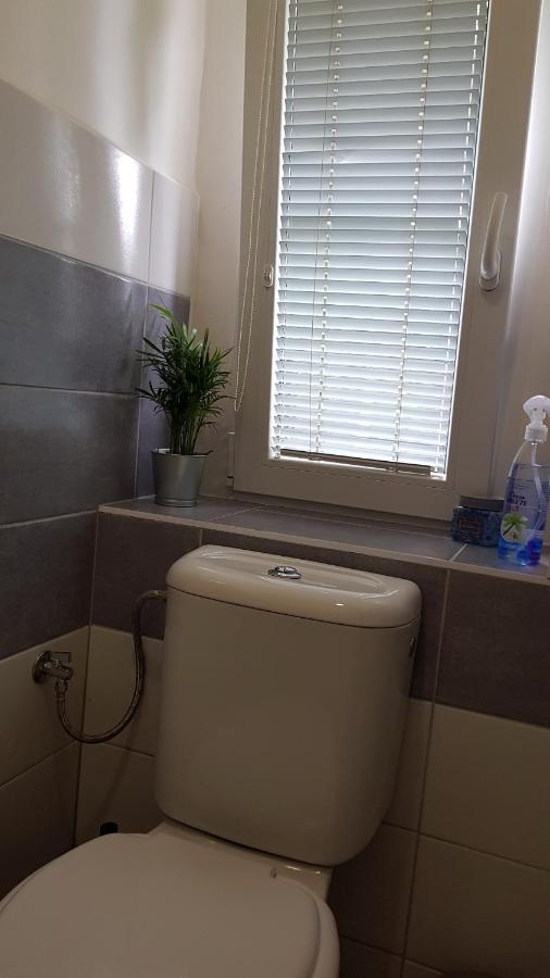 Apartman Pod Zamkem Decin Bagian luar foto
